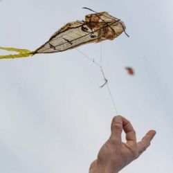 Les Arts volants
