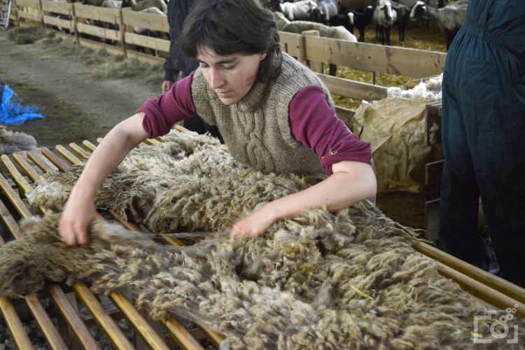 Séraphita accepte la monnaie locale Séraphita accepte la monnaie locale