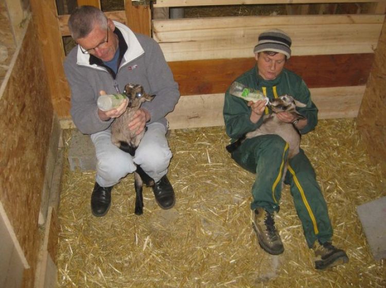 Ferme d'Elisariane accepte la monnaie locale Ferme d'Elisariane accepte la monnaie locale